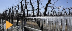 Ministerio de Producción propone reformar ley de emergencia agropecuaria