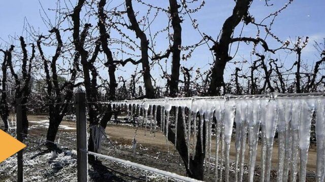 Ministerio de Producción propone reformar ley de emergencia agropecuaria