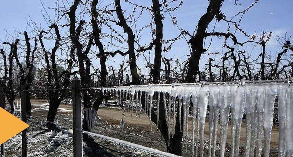 Ministerio de Producción propone reformar ley de emergencia agropecuaria