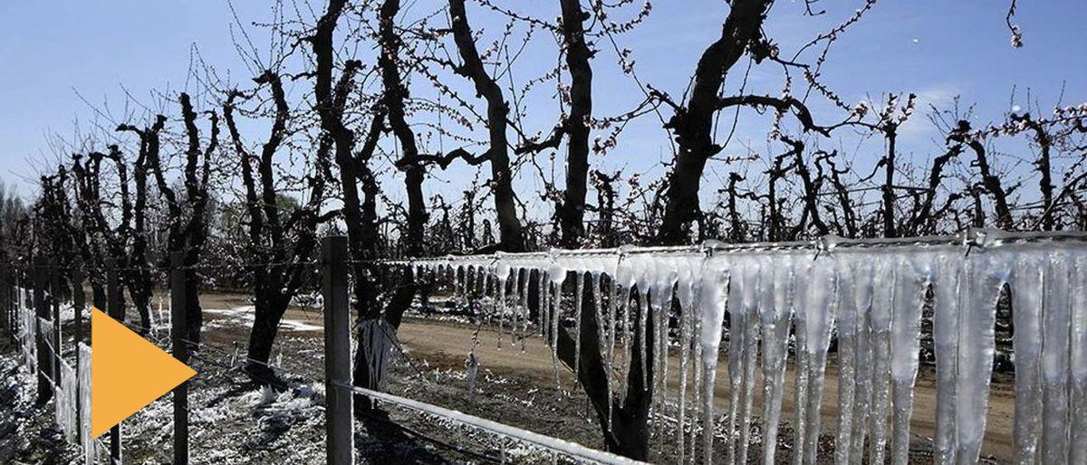 Ministerio de Producción propone reformar ley de emergencia agropecuaria