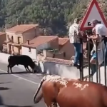 Mujer fallece tras ser atacada por un toro en España