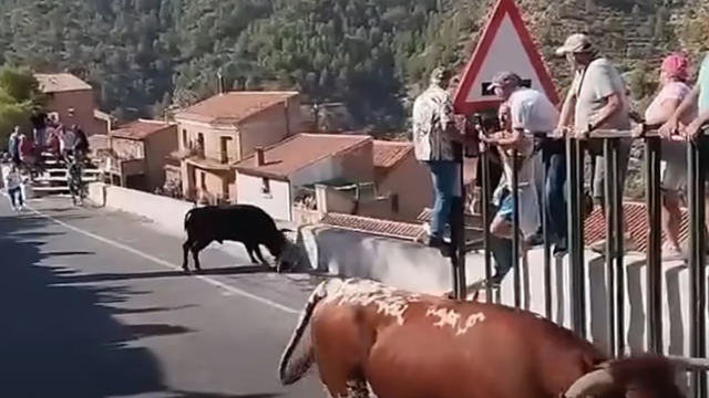 Mujer fallece tras ser atacada por un toro en España