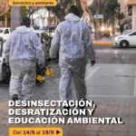 Municipio anunció cronograma de desinsectación y desratización para septiembre