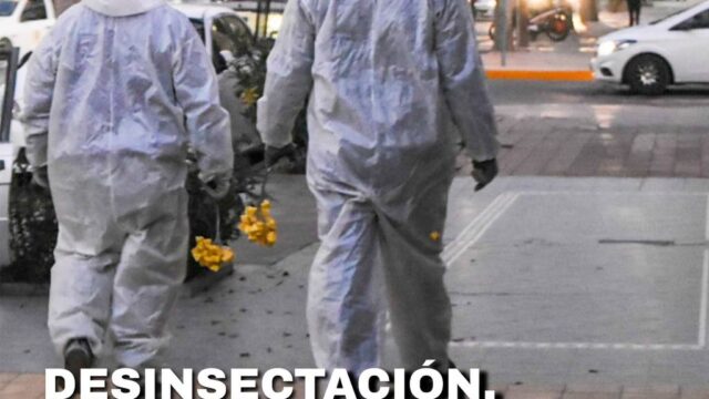 Municipio anunció cronograma de desinsectación y desratización para septiembre