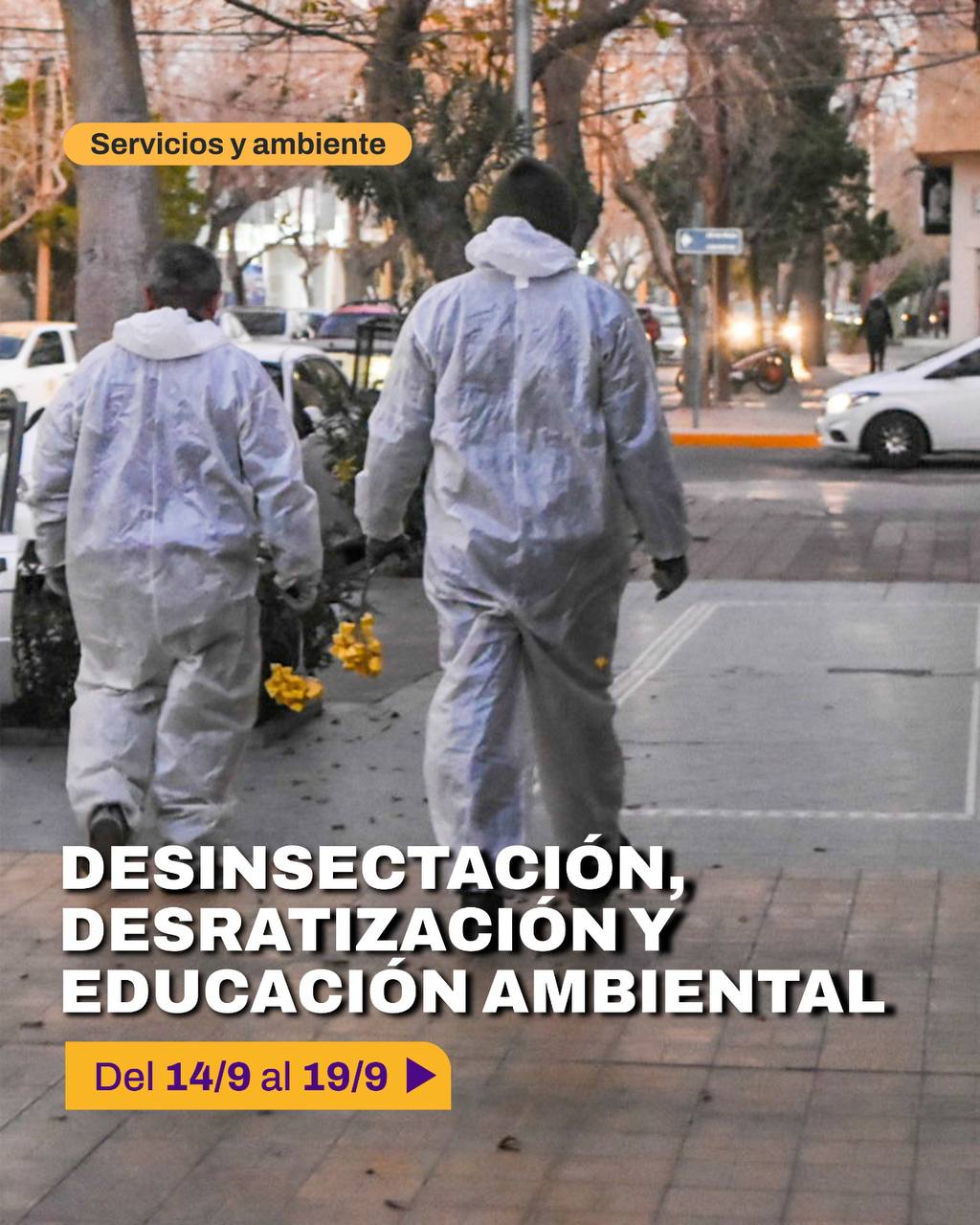 Municipio anunció cronograma de desinsectación y desratización para septiembre