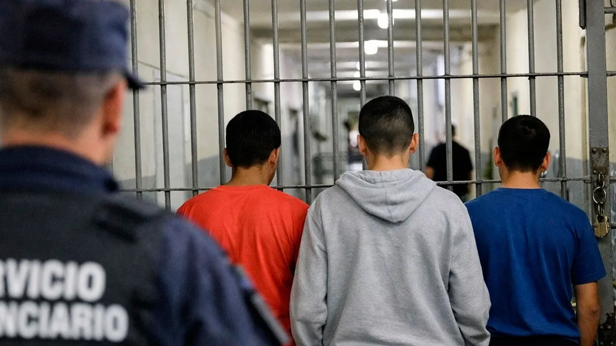 Nación reglamenta el Régimen Penal Juvenil
