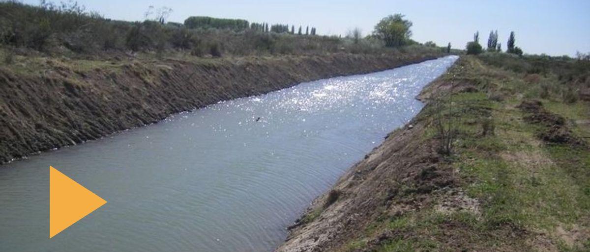 Regantes de Calingasta advierten sobre avance lento de la monda