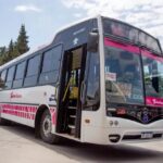 Violencia dentro de un colectivo: pasajeros redujeron y golpearon a un hombre señalado por un presunto robo