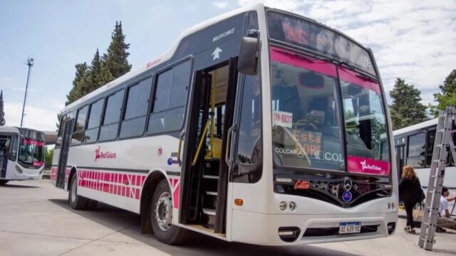 Violencia dentro de un colectivo: pasajeros redujeron y golpearon a un hombre señalado por un presunto robo