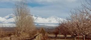 Alerta por nevadas de hasta 40 cm en la Cordillera de Calingasta