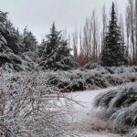 Calingasta en alerta amarilla por nevadas y tormentas este lunes