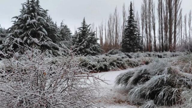 Calingasta en alerta amarilla por nevadas y tormentas este lunes