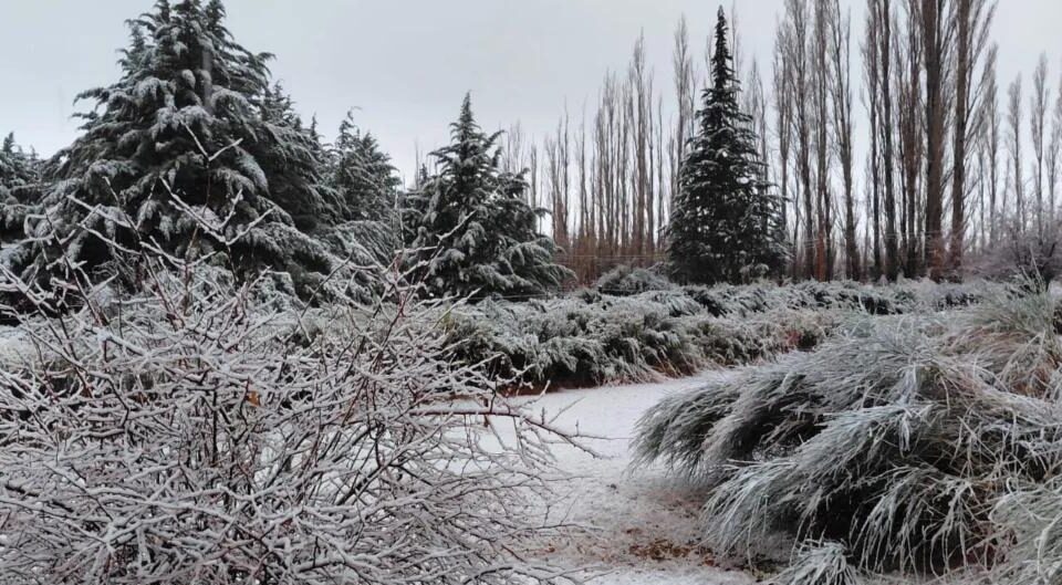 Calingasta en alerta amarilla por nevadas y tormentas este lunes