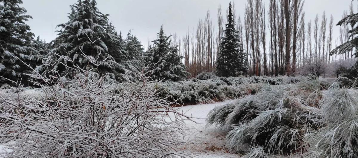Calingasta en alerta amarilla por nevadas y tormentas este lunes