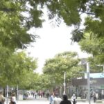 Comerciantes de San Juan notan caídas del 70% en ventas