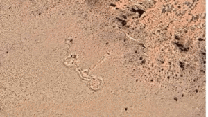 Expedición a los Andes para investigar estructura misteriosa