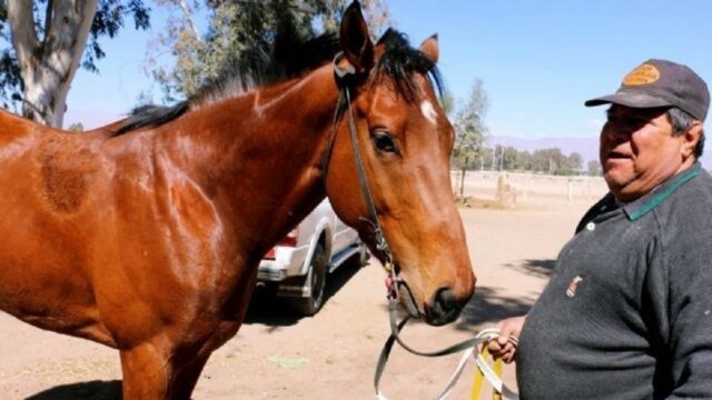 Falleció Rubén Mercado, trabajador del Jockey Club de San Juan