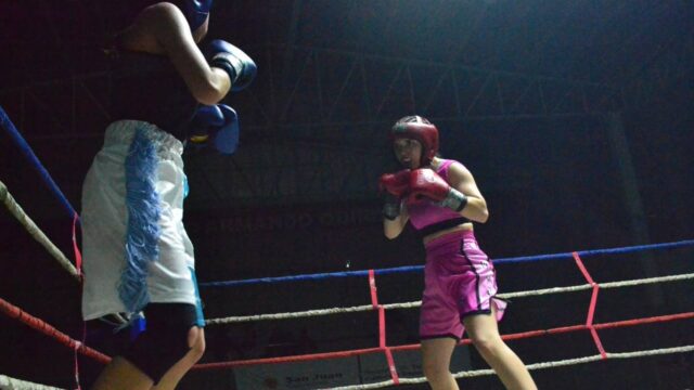 Los Guantes de Oro cierran con final en el Julio Mocoroa