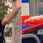 Político presentó video de ‘Niño Marta’ a Defensoría del Pueblo