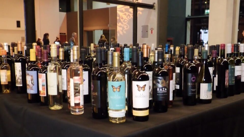 Récord en la Cata Nacional de Vinos con casi 400 muestras de 14 provincias