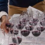 Simposio sobre el futuro del vino argentino en San Juan