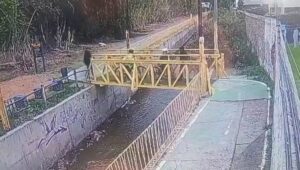 Inseguridad en Chacras de Coria: dos hombres emboscaron a mujeres y les robaron las bicicletas
