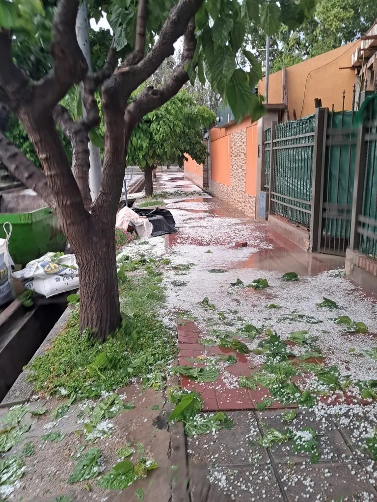 Granizo en el Gran Mendoza: la intensa tormenta quedó registrada en videos